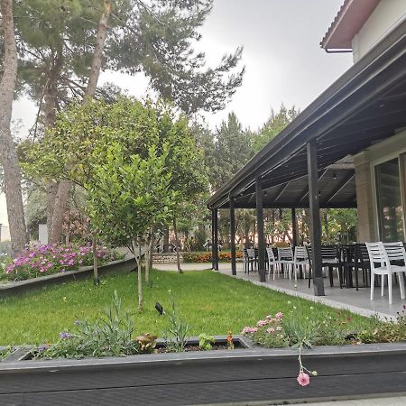 Hotel Pelikan Divjake Luaran gambar